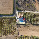 Willa Nayia Paradise Villa! In Cyprus Pafos